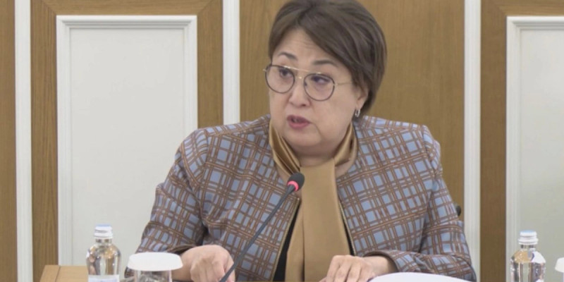 Сенат депутаты Ләззат Қалтаева Конституция мәтінін Брайль форматына бейімдеуді ұсынды