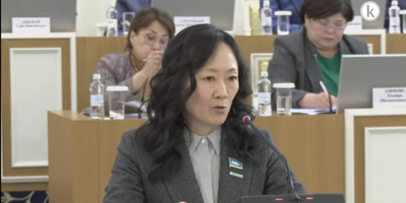 Волонтерліктің ұлттық желісінің басшысы жаңа Конституцияда волонтерлікті ынтыландыруды бекітуді ұсынды