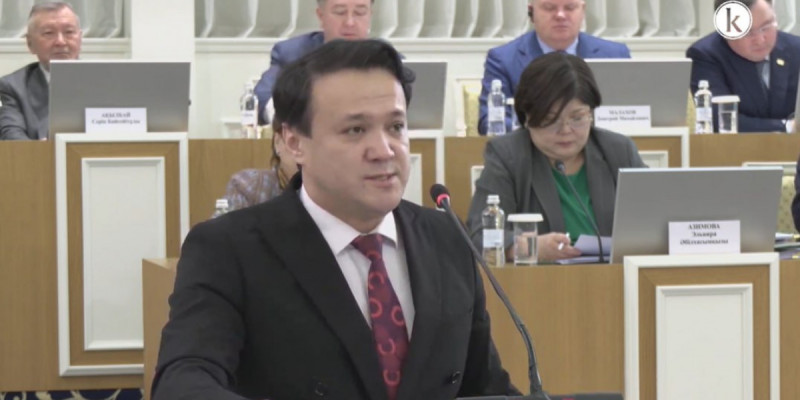 Жаңа Конституцияда еркіндік пен жауапкершілік бір арнаға тоғысады – белгілі журналист