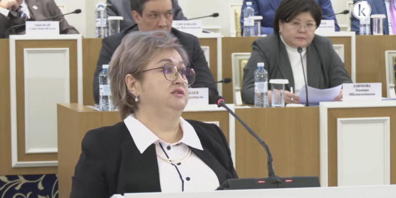 Индира Әубәкірова: Жаңа Конституция адам құқықтары мен азамат құқықтарының аражігін айқын белгілейді