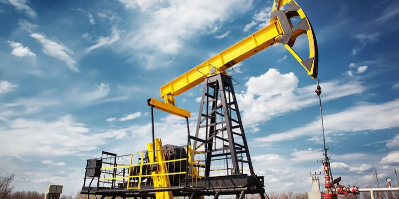 Президент шикізатқа тәуелділікті доғаруды тапсырды