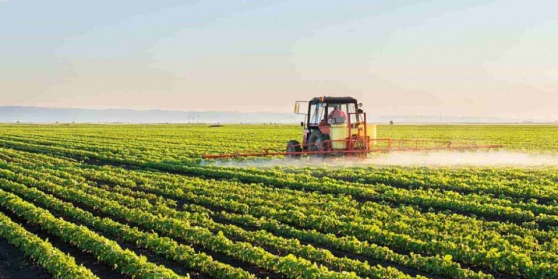 Президент Үкіметке шаруаларды қолдауға бағытталған батыл шаралар қабылдауды тапсырды