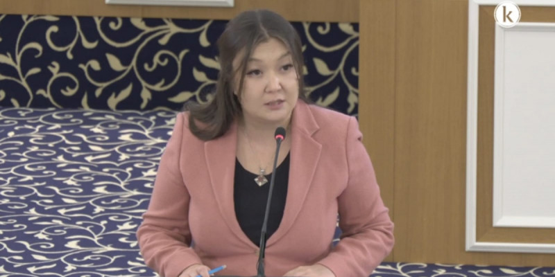 «Тек сот шешімімен ғана» – Қазақстанда тұрғын үй құқығына кепілдікті конституциялық деңгейде күшейту ұсынылды