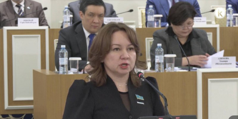 Жаңа Конституцияда барлық өтпелі рәсімдер, мерзімдер мен регламенттер нақты жазылады – Снежанна Имашева