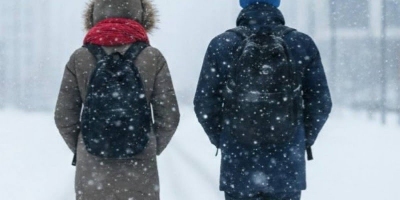 Астанада мектеп оқушылары қашықтан оқитын болды