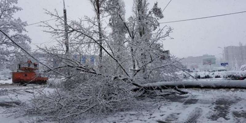 Шымкенттегі аулалардың бірінде 10 жастағы баланың денесі табылды (ВИДЕО)