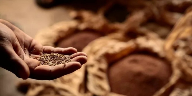 2026 жылғы пітір садақа мөлшері белгілі болды