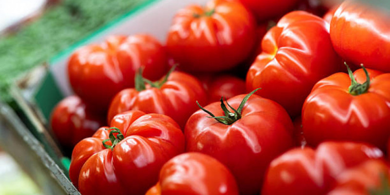 Қызанақтың беймәлім пайдасы анықталды