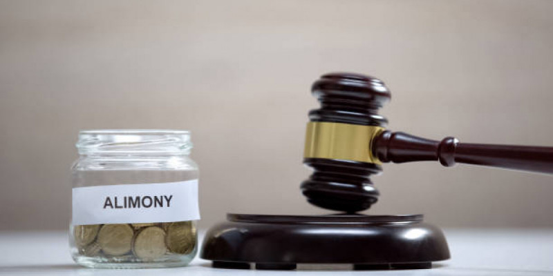 Павлодарда алимент төлемеген әкелерге қатысты 7 қылмыстық іс қозғалды