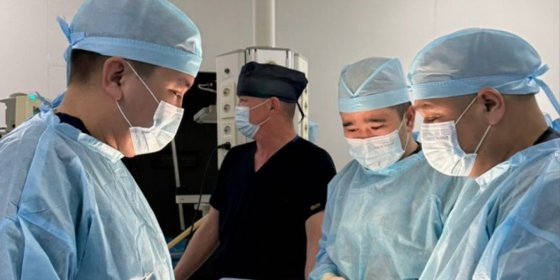 Шымкентте 8 жастағы баланың асқазанынан бір бума шаш алынды