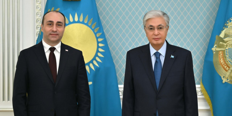 Мемлекет басшысы Грузияның Ішкі істер министрімен кездесті