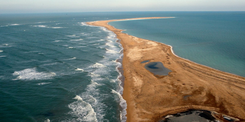 Үкімет Каспийді зерттеуге және сақтауға 1,1 млрд теңге бөлді