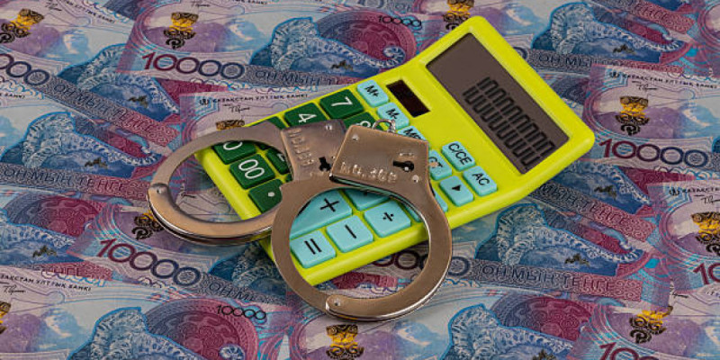 Шығын – 152 млн теңге: Көкшетауда заңсыз субсидия алғандар сотталды