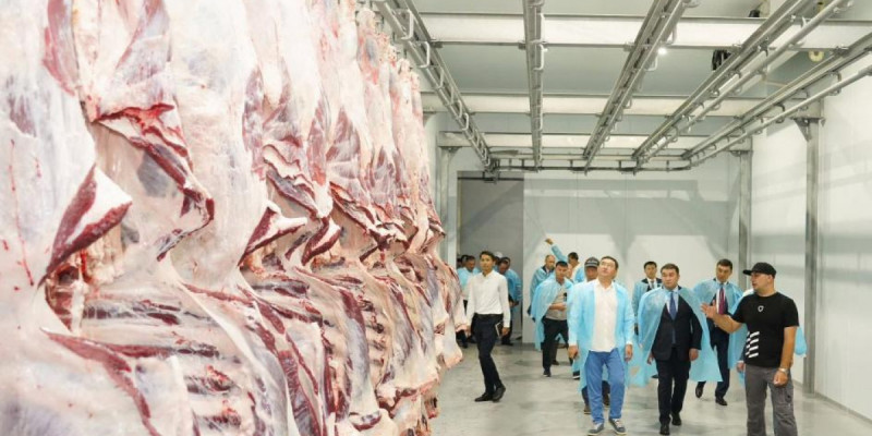 Министрлік сиыр еті экспортына қатысты ақпаратты жоққа шығарды