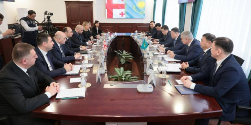 Қазақстан мен Грузия ішкі істер министрлері Астанада кездесті