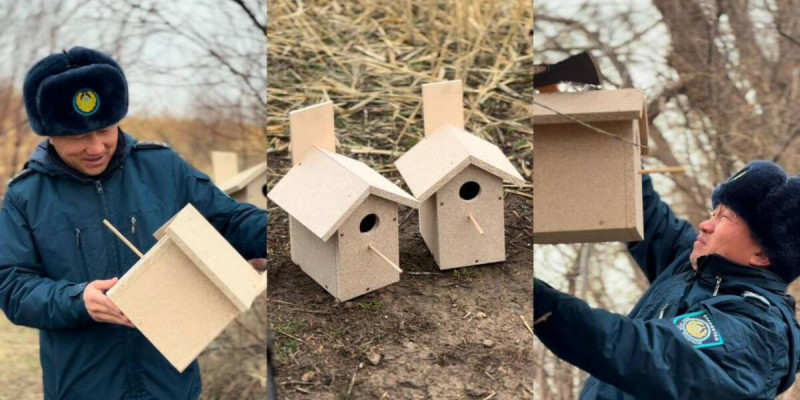 Жамбыл облысында полицейлер құстарға ұя салып берді