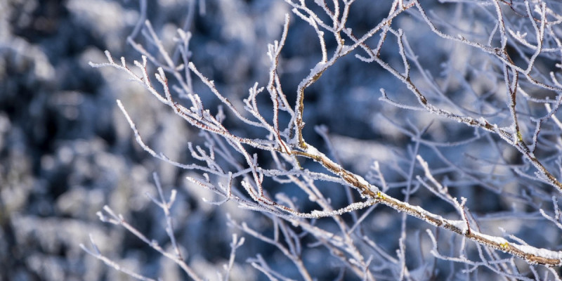 "Қар, боран, көктайғақ": Бейсенбіге арналған ауа райы болжамы жарияланды
