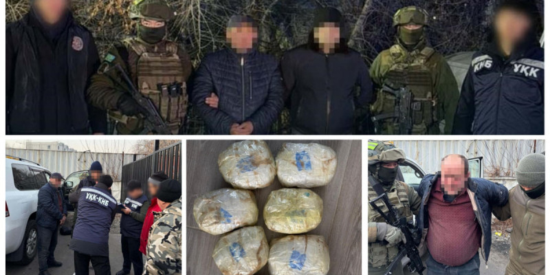 ҰҚК шетелдік құзырлы органмен бірге есірткі контрабандасына қатысы бар күдіктіні ұстады