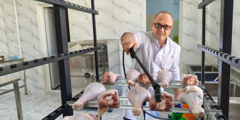 Ғалымдар құс етінің сақтау мерзімін 3 есеге дейін ұзартатын технология әзірледі