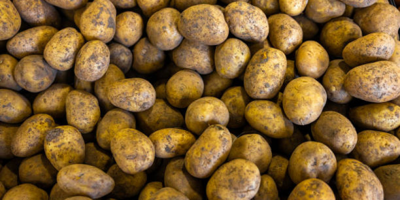 Жаңаөзенде картопты қымбат бағамен сатқан