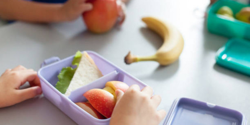 Бала кезде дұрыс тамақтанбау ми жұмысына әсер етуі мүмкін – зерттеу