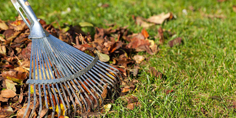 Павлодарда зейнеткерді тырмамен ұрып өлтірген жігітке үкім шықты