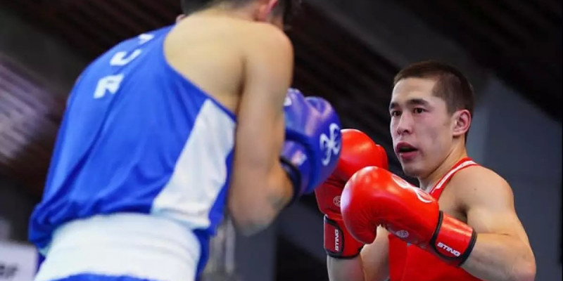 «Странджа» кубогі: Алты боксшымыз алтынға таласады