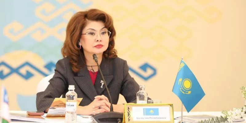 Жаңа Конституция жобасындағы өзгерістер қолданыстағы нормаларды күшейтеді – Аида Балаева