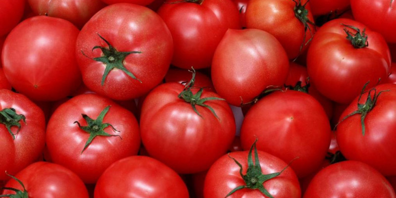 Ресейден Қазақстанға әкелінген қызанақтан вирус анықталды