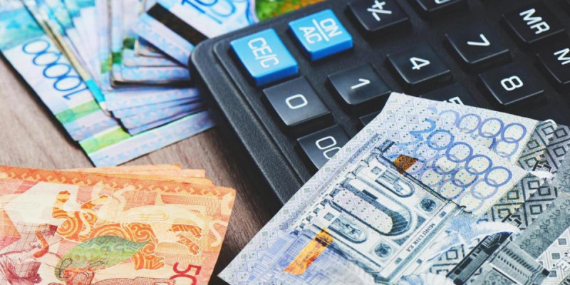 Мүгедектігі бар және асыраушысынан айырылған жандарға 68 млрд теңге төленді