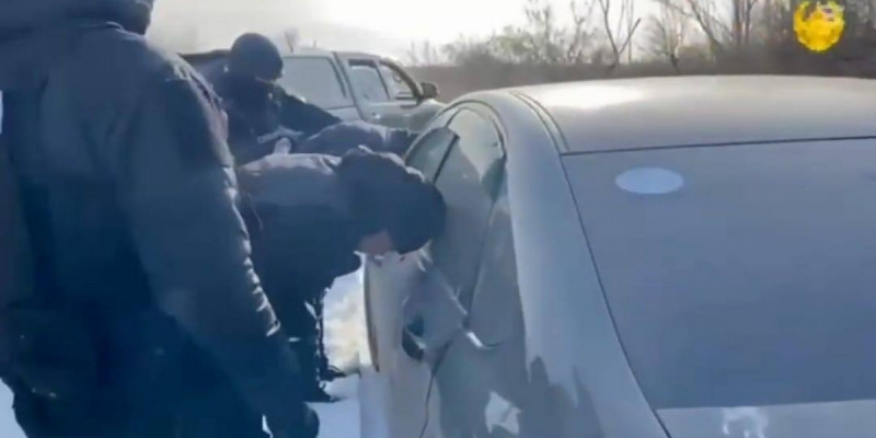 Шығын – 40 млн теңге: Павлодарда мал ұрлаумен айналысқан қылмыстық топ ұсталды