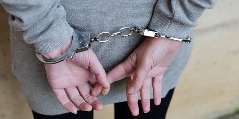 Павлодарда «зорлады» деп жігітке жала жапқан бойжеткен сотталды