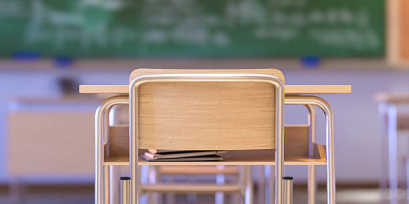 Мектептерде ерекше назарды қажет ететін балаларды педагогикалық сүйемелдеу жүйесі енгізіледі