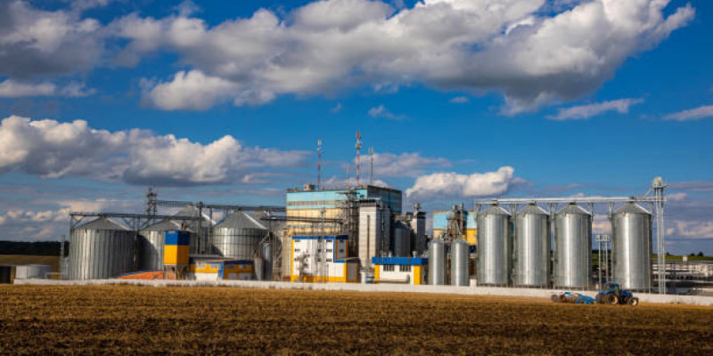 Ақмола облысында майлы дақылдарды терең өңдеу кешені салынып жатыр