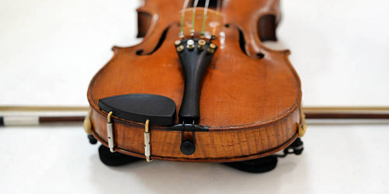 Әйгілі италиялық шебер Страдивари атақты скрипкаларын қандай ағаштан жасағаны белгілі болды