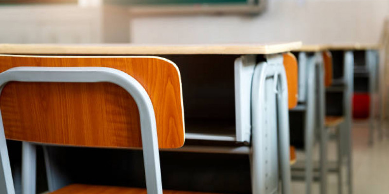 Астанада екінші ауысым оқушылары қашықтан оқуға көшірілді