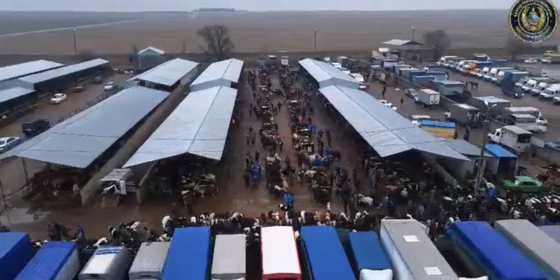 Түркістанда ветеринария заңнамасын бұзған 30-ға жуық адам ұсталды