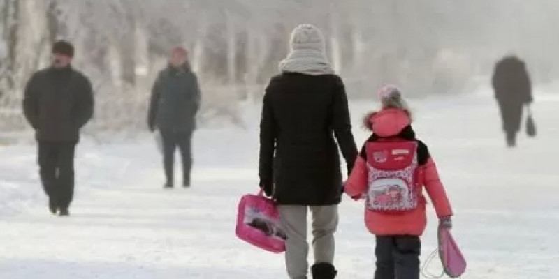 Астанада мектеп оқушылары мен колледж студенттері қашықтан оқуға ауыстырылды