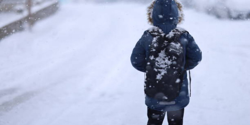 Астанада екінші ауысымдағы оқушылар онлайн форматқа ауыстырылды