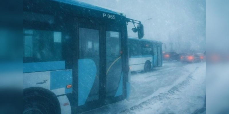 Астана маңына қатынайтын төрт автобус тоқтады