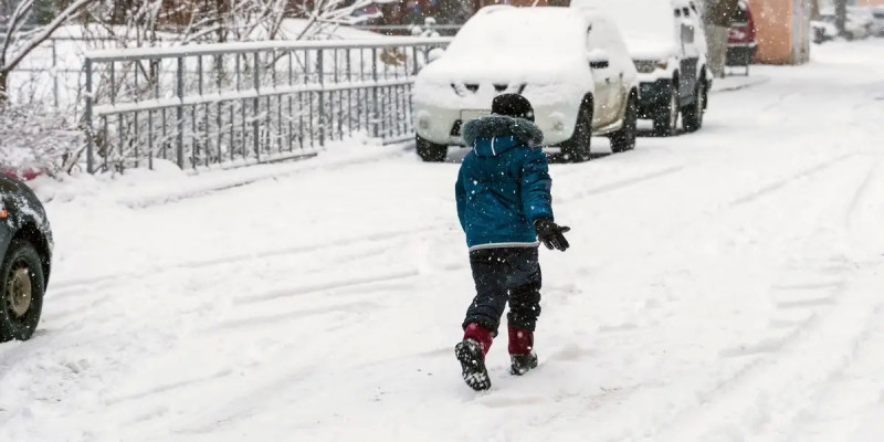 Астанада оқушылар мен колледж студенттері қашықтан оқиды