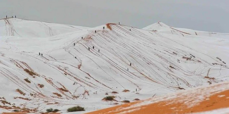 Сахара шөлі әлемді сирек құбылыспен таңғалдырды