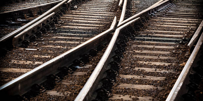 Ақмола облысында жүк пойызы 11 жылқыны басып кетті