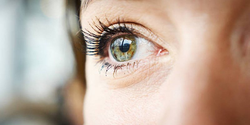 Неге кейде бір нүктеге қарап «қатып» қаламыз? – ғалымдар түсіндірді