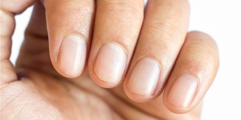 Қол мен аяқ тырнағының өсу жылдамдығы неге әртүрлі?