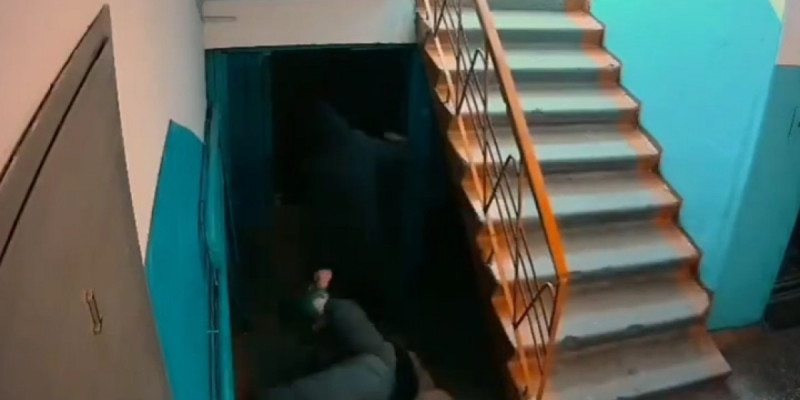 Павлодарда зейнеткер әйел қарақшыға қарсылық көрсетті (ВИДЕО)