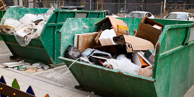 Мәйітті сөмкеге салып, мектеп жанындағы қоқысқа тастаған: Ақтөбедегі қылмыс жайлы тың дерек шықты