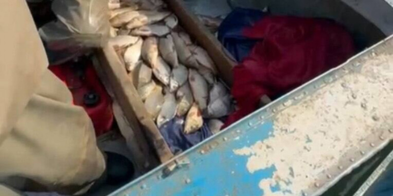 Түркістан облысында браконьерлерден 130 келіге жуық балық тәркіленді