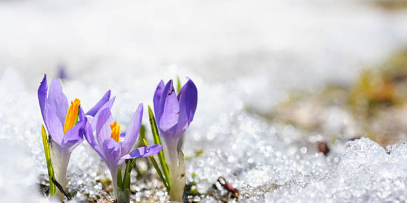 Астанаға тұман түсіп, Алматы +17 градусқа дейін жылиды