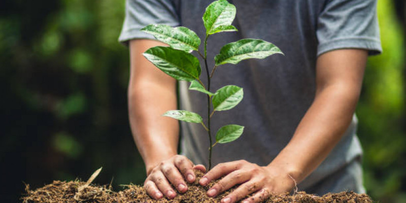 19 наурыз – Жаңару күні